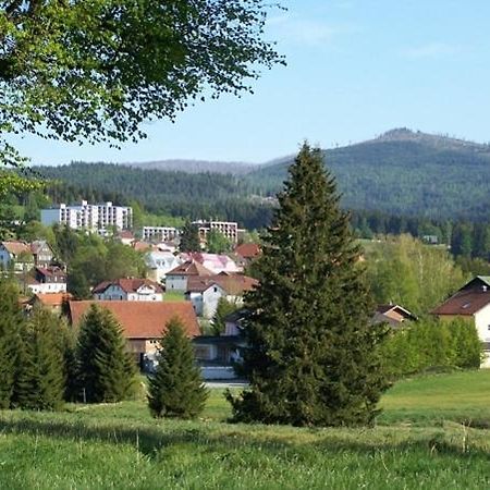 Haus Hochstein Aparthotel Haidmühle Eksteriør bilde