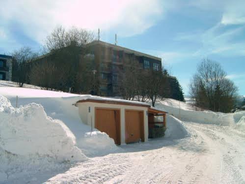 Haus Hochstein Aparthotel Haidmühle Eksteriør bilde