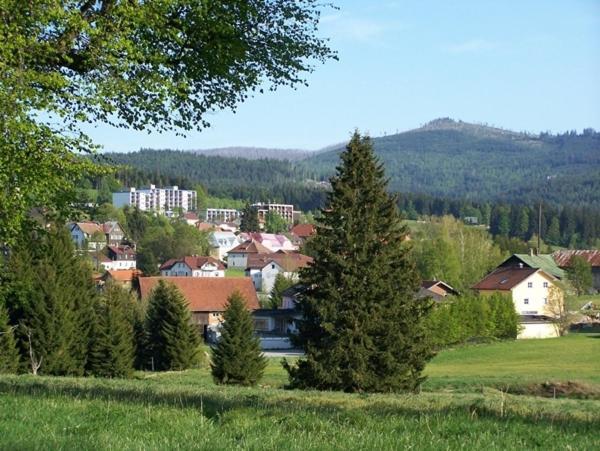 Haus Hochstein Aparthotel Haidmühle Eksteriør bilde